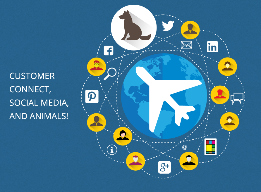 Customer Connect, Social Media, and Animals!-Airline