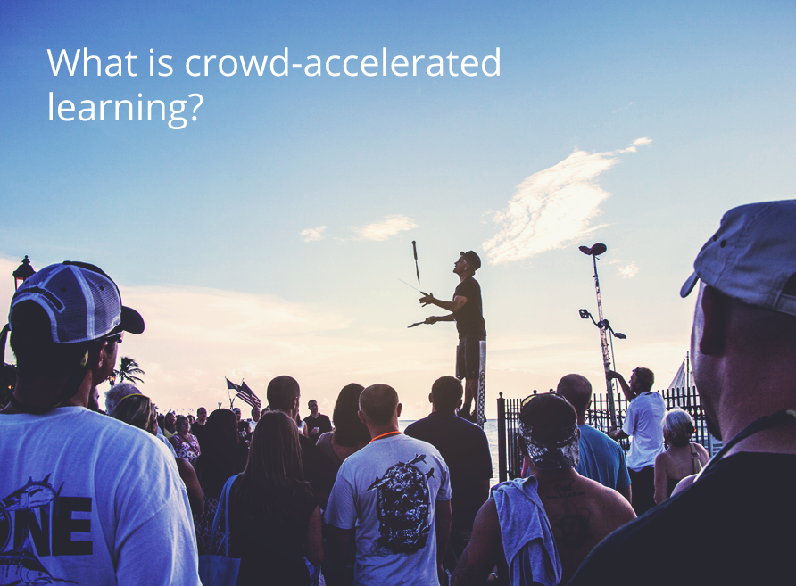 Crowd accelerated Learning