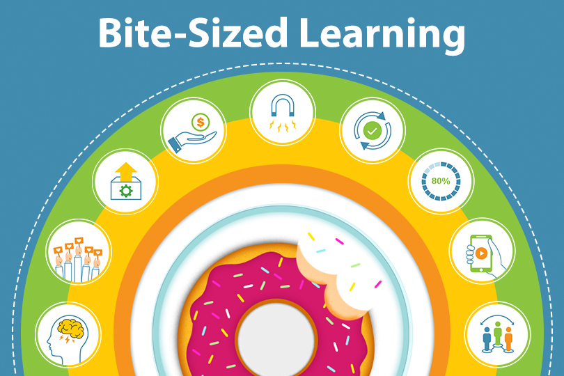 bite-sized learning